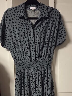Women’s Teal Polka Dot Shirred Waist Dress